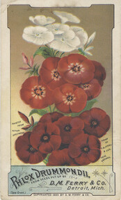 D. M. Ferry & Co.