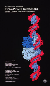 DNA-protein interactions in the control of gene expression