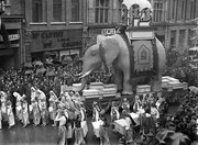 Lucky Elephant