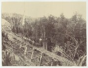 Mount Lyell Mine - Construction of haulage line (c1895)
