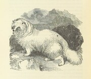 British Library digitised image from page 638 of "Notable Voyagers from Columbus to NordenskÃ¯old. By W. H. G. K. and H. Frith"