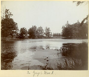 In Gage's Wood