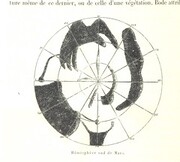 British Library digitised image from page 546 of "L'Espace cÃ©leste et la nature tropicale, description physique de l'univers ... prÃ©face de M. Babinet, dessins de Yan' Dargent"
