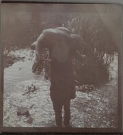 Carrying the prey across water. ; Photograph 2.