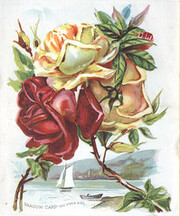 Woolson Spice Co.