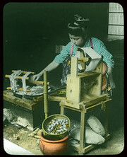 Taking Silk From Cocoons