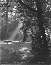 "Silent Light of Morning", Stanley Park, Vancouver, B.C.