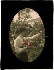 Zoe Gullick with roses in Gullick family garden, Killara, NSW, c.1909