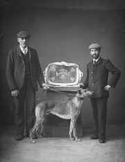 January 15, 1906