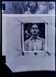 CAL04969.JPG