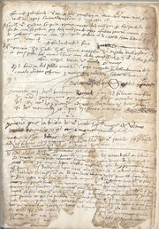 Medicinal and Culinary Miscellany