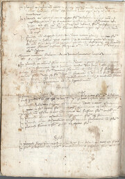 Medicinal and Culinary Miscellany