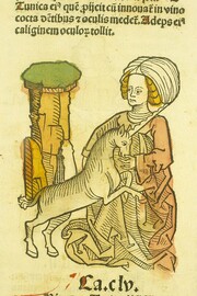 Vnicornus uarius