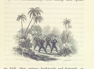 British Library digitised image from page 331 of "A Narrative of the Expedition sent by Her Majestys Government to the River Niger in 1841, under the command of Capt. H. D. Trotter [With plates.]"