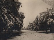 Late snowstorm, date unknown