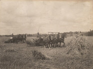Binding grain, 1911