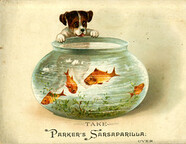Take Parker's Sarsaparilla