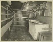 REEVE 0035187
