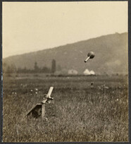 Demonstration of trench mortar (bomb in air)