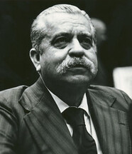 Vasconcelos Torres