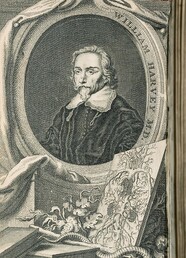 Human circulatory system and Dr. William Harvey
