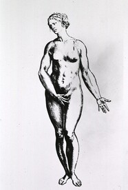 Anatomy - Artistic