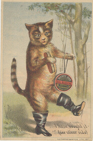 American Chemical Mfg. & Mining Co.