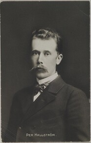 Portrait of Per HallstrÃ¶m, writer and translator.