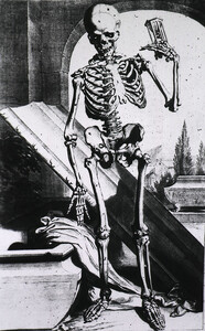 Skeleton