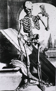 Skeleton