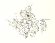 British Library digitised image from page 290 of "Az OsztrÃ¡k-Magyar Monarchia irÃ¡sban Ã©s kÃ©pben. Rudolf trÃ³nÃ¶rÃ¶kÃ¶s fÅ‘herczeg Å ... fensÃ©ge kezdemÃ©nyezÃ©sÃ©bÅ‘l Ã©s kÃ¶zremunkÃ¡lÃ¡sÃ¡val. (Die deutsche Ausgabe redigirt ... J. von Weilen, die ungarische M. JÃ³kai.)