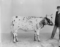 I.K Inha: Finnish Agriculture d2000_48_85