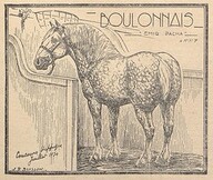Cheval boulonnais