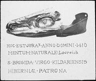 Happy St. Brigids Day to all and a great weekend