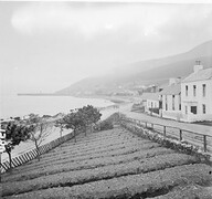 Lazy Beds, Newcastle Co.Down