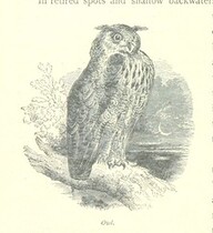 British Library digitised image from page 188 of "The Thames from its Source to the Sea ... Illustrated with ... engravings ... and ... etchings, etc"
