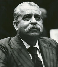 Vasconcelos Torres