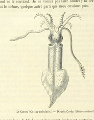 British Library digitised image from page 778 of "Voyageurs anciens et modernes, ou Choix des relations de voyages ... depuis le cinquiÃ¨me siÃ¨cle avant JÃ©sus-Christ jusqu'au dix-neuviÃ¨me siÃ¨cle, avec biographies, notes et indications iconographiques, par