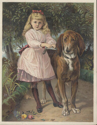 Dr. D. Jayne's Expectorant