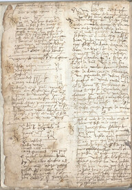 Medicinal and Culinary Miscellany