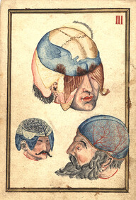 Three Heads with Flayed Scalps, Showing Cranium and Veins