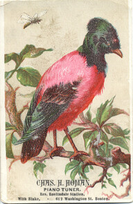 Charles H. Homan (Piano Tuner)