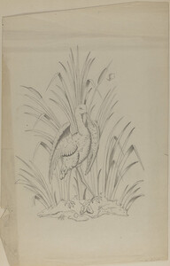 Johann Friedl's sketchbook: illustration with bird on grass