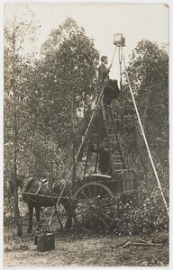 Bird watching photographers, New South Wales, June 1921, AH Chisholm
