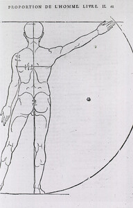 Anatomy - Artistic: Illustrations on Correct Proportions of Human Anatomy