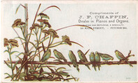 J. F. Chaffin (Dealer)