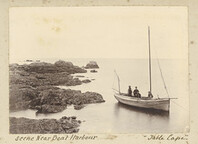 Scene near Boat Harbour - Table Cape (c1890)