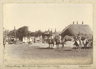 Thrashing machine Bramich's farm - Wynyard (c1890)