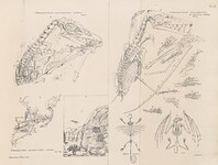 British Library digitised image from page 97 of "Geology and Mineralogy considered with reference to Natural Theology"