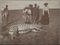 Jormaâ€™s first zebra.